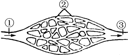 2 血液循环》导学案2