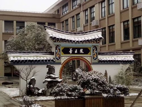 一大波宁波校园雪景来袭!分分钟秒杀朋友圈摄影大赛