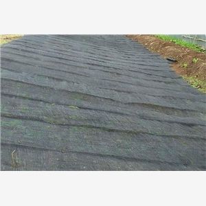 阜阳全新水土保护毯