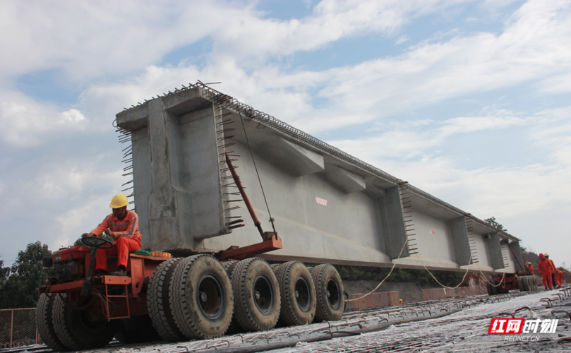 好消息!t梁全部架设完成,临连高速公路建设又迈进一大步!