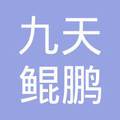 武汉九天鲲鹏咨询服务有限公司