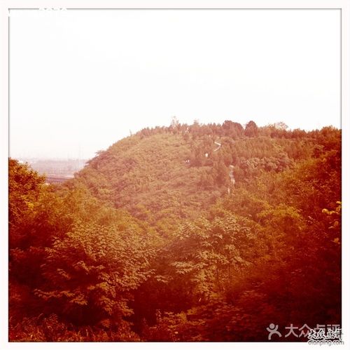 鹰山森林公园-img_0346图片-北京休闲娱乐-大众点评网