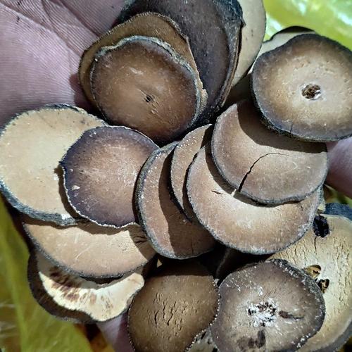 化橘红片 化橘红干