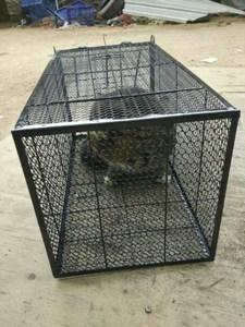 全自动捕猫神器野外大号家用捕猎松鼠地踩包邮诱捕网抓猫笼工具