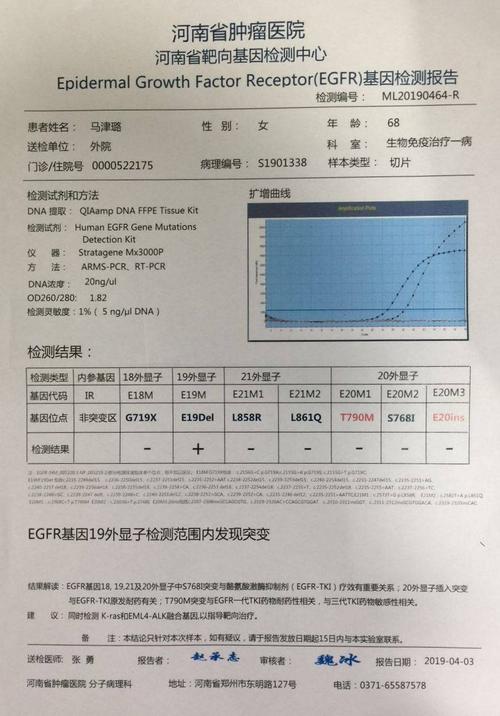 egfr基因检测报告
