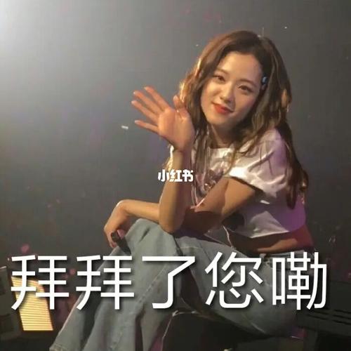 blackpink的搞笑表情包7815_搞笑_表情包_blackpink_blackpink