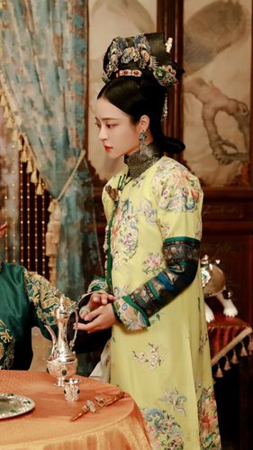 花落宫廷错流年