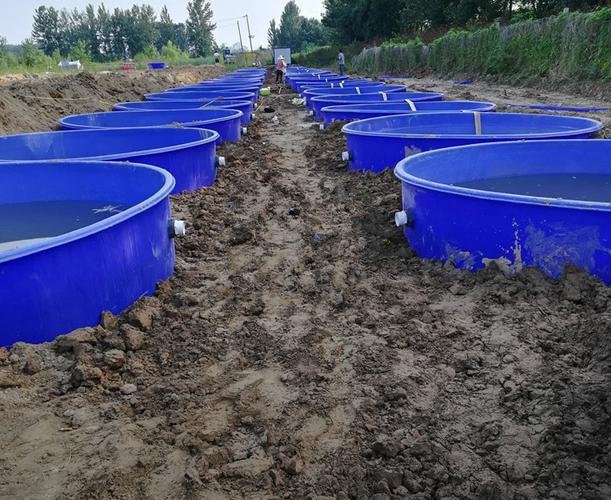 水产养殖大桶 养鱼塑料大桶 对虾养殖桶 pe塑料桶