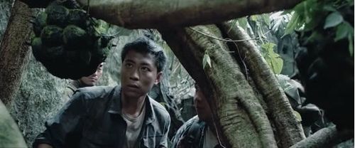 《大蛇》倒叙来看冒险片,恐怖大蛇和生物老师之间不得