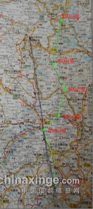 一路向北:东北小鸽会挑战550公里极限(图)