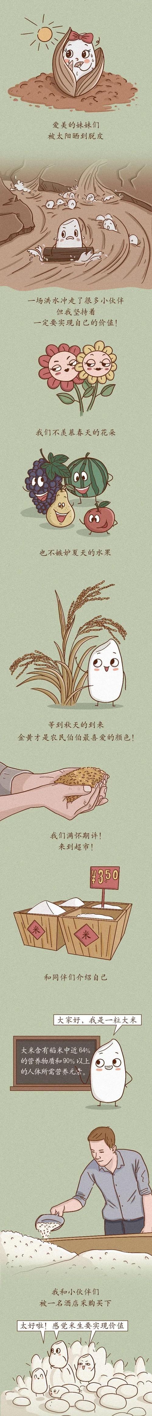 手绘一粒米的旅程