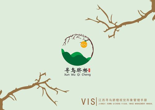 寻乌脐橙vi设计