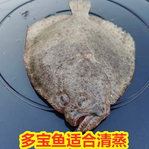海鲜新鲜多宝鱼鲜活多宝鱼海捕大比目鱼蝶鱼深海鱼类鲽鱼