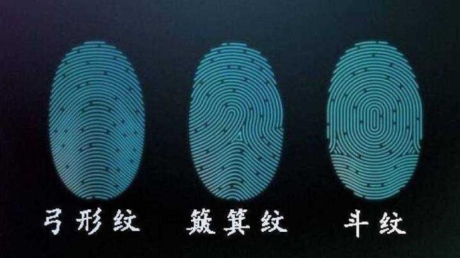 斗越多越富贵康熙10个簸箕科研团队揭示指纹的奥秘