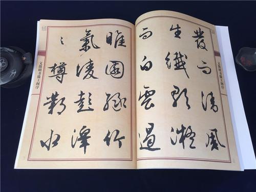 文征明大八开行草字帖 中国历代名碑名帖放大本系列 毛笔软笔行书草书