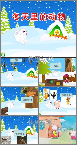 幼儿园大班科学公开课《冬天里的动物》ppt课件教案