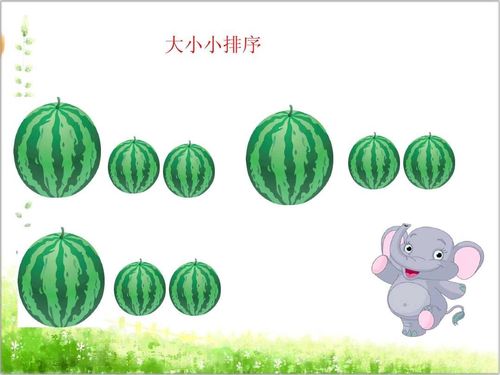 潼南区涪江幼儿园中班停课不停学——数学《有趣的排序》