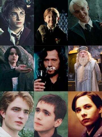 霍格沃茨校草竞选