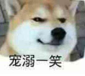 狗头保命表情包_狗头保命图片