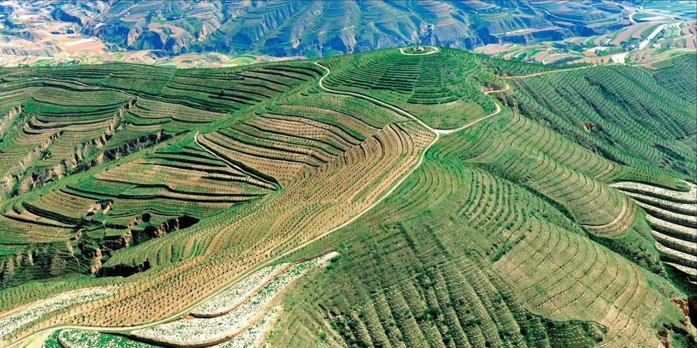 定西市安定区特色库