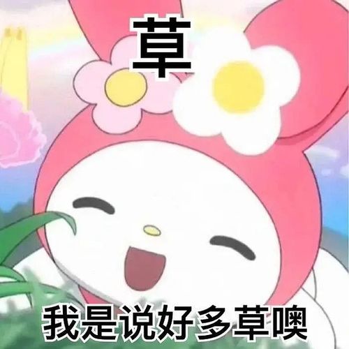 已找到找表情包草是一种植物库洛米那个