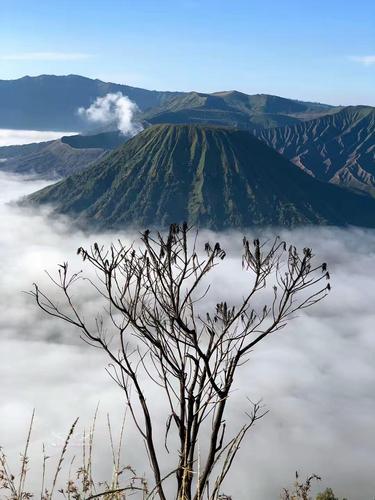 布鲁莫火山