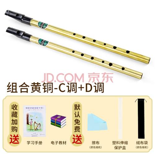 舒弗 爱尔兰哨笛初学者金属哨笛自学入门6孔d调高音金属竖笛 黄铜c调