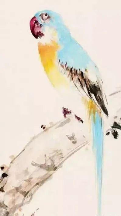 桃花,鹦鹉,真美!_国画教程大全_零二七艺考