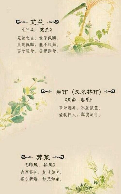" 以诗关情,以植表意… "丨《诗经》里的唯美植物