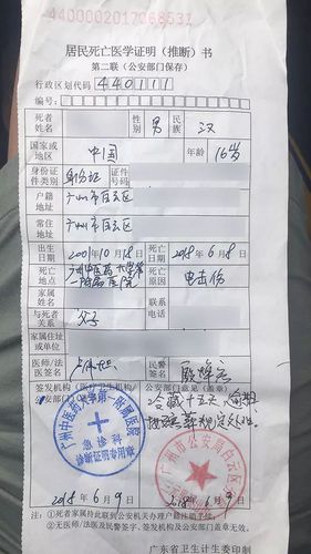 他提供的一份抢救医院出具的死亡证明(推断)书显示,死者死因为"电击伤