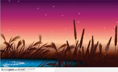 芦苇风景儿童画