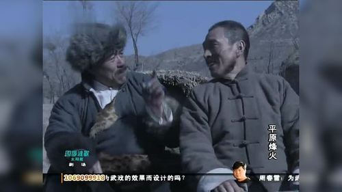 平原烽火全集大结局 平原烽火电视剧1-40集