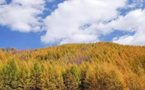 【图说】塞罕坝:汲取精神力量 践行绿色理念(上)