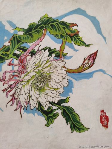 早期手绢绘画原稿莲花彩色画稿