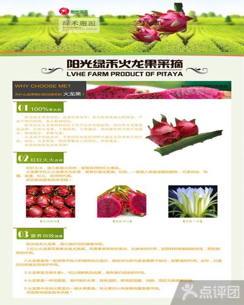 北京阳光绿禾红心火龙果采摘园