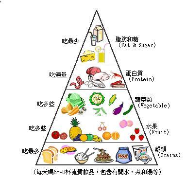 食品营养塔简笔画
