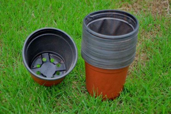 永城草莓营养钵质量保障-玉田塑料制品