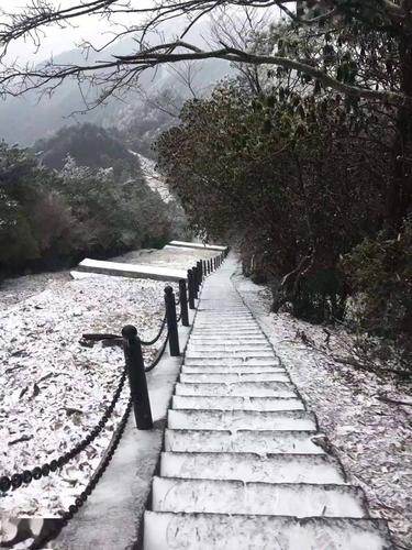 全温州今年最美的雪景在这里