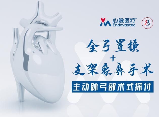 (第三期)全弓置换 支架型象鼻术 主动脉弓步术式探讨