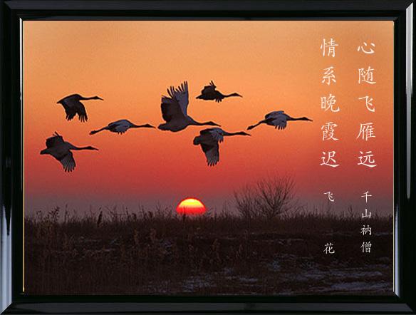 忽有雁归来.飞雁和飞鸿踏雪雁旅他乡苦,凡情寄望台.