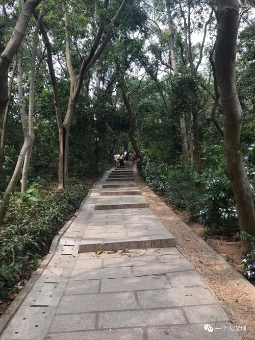 深圳地标:莲花山公园