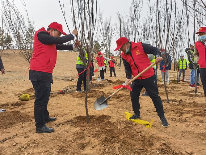 志愿者植树.jpg