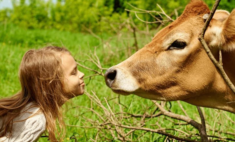 3部适合儿童观看的动物纪录片,口碑炸裂!
