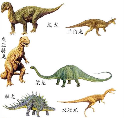 恐龙的种类