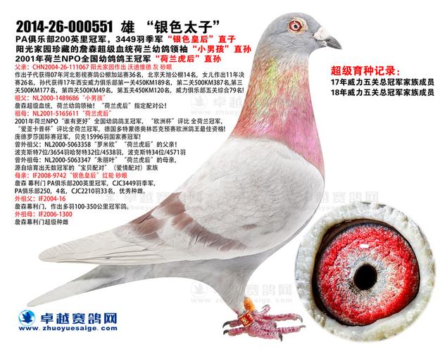 【312场】阳光家园拍卖-5号拍卖鸽] > chn2014-26-000551