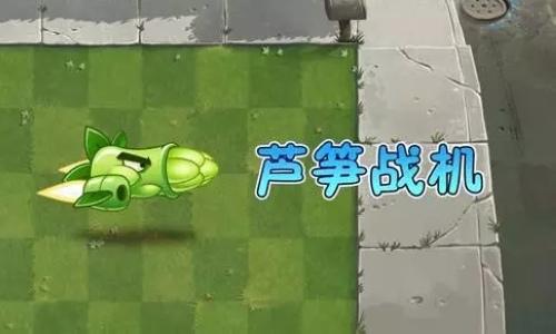 植物大战僵尸2天空之城的植物军团 看谁是大队长?