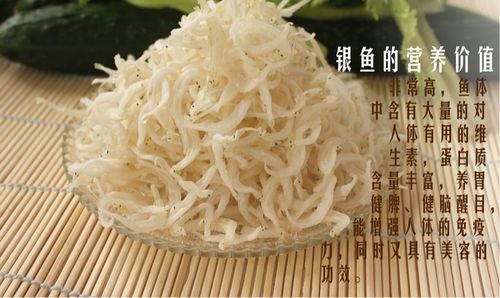 干银丝鱼什么样的,看图片