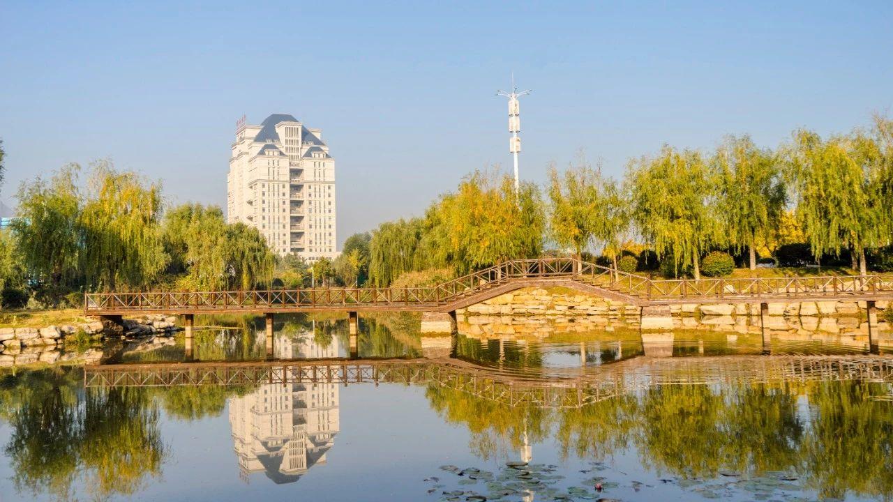 一到秋天,临沂大学就美得不像话!