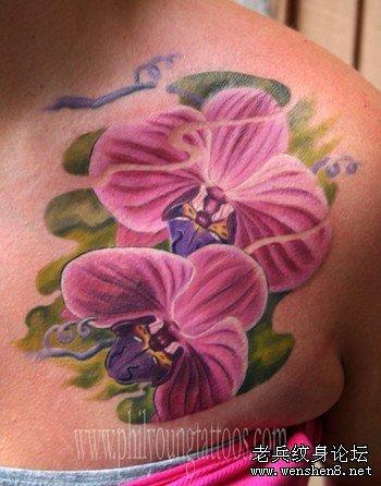 女性胸部蝴蝶兰纹身图案