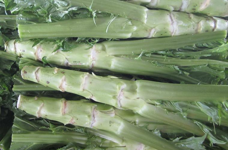 绿野上品|农科院薄皮棒菜种子科光渝选棒菜芥菜 四川重庆菜头秋播